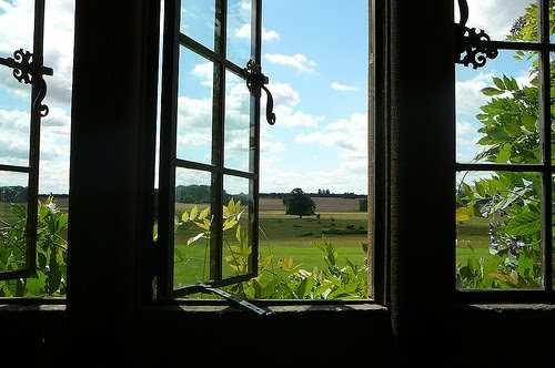 Perhaps the most important thing a window does is provide a portal an escape from the frightening,