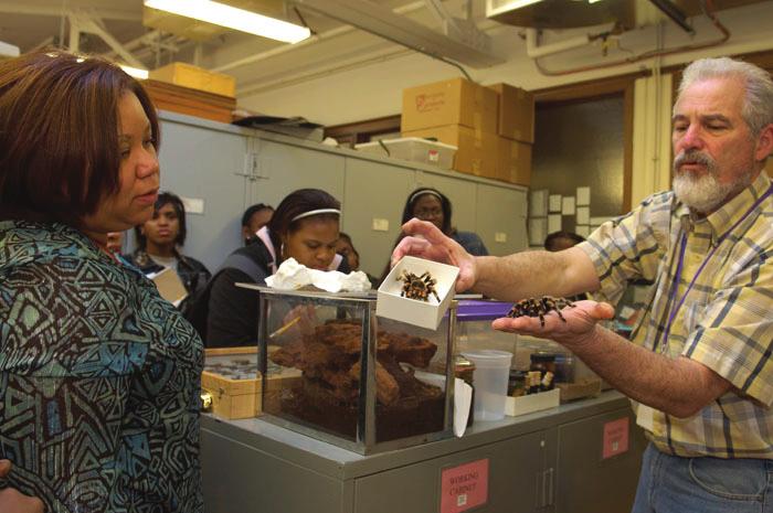 Behind the Scenes Tours Did you know that The Field Museum houses nearly 26 million specimens and artifacts? Less than 1% of those are on display to the public!