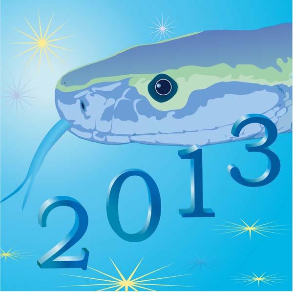 Who is this Snake and what does he plan for 2013? In 2012 we experienced the year of the Water Dragon, a time of making big plans and having a vision for the future.