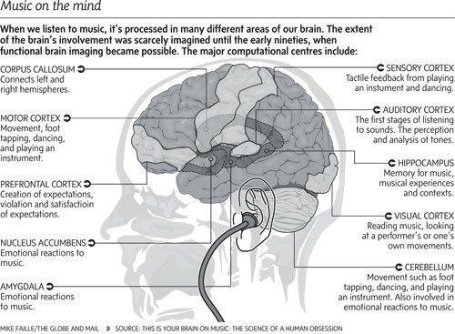 Sourced this research, which explains which parts of the brain react to which parts of music. Whether this be through reactions, or movements.