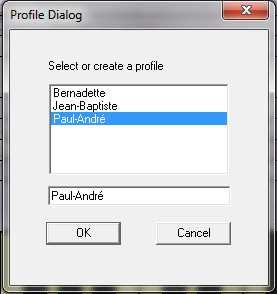 1 Profiles management This activity allows to select an existing profile or to add a new profile.