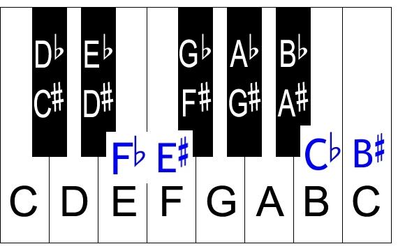 Sharps and Flats combined (enharmonic equivalents) Since there is only one note between C and D there is