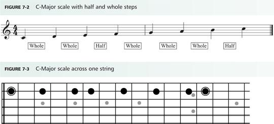 Key: ½ step = one half step (next closest note) ½ step + ½ step = one whole step (two half steps) The pattern for the major scale is: Whole step, whole step,