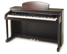DPR2100 The DPR2100 combines the great sound and feel of an acoustic piano with exceptionally musical and easy to enjoy accompaniment features.