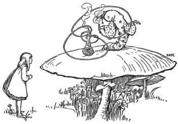 The Ten Minute Tutor - Read-a-long Video F-11 ALICE IN WONDERLAND CHAPTER 5: A CATERPILLAR TELLS ALICE WHAT TO DO Adapted for The Ten Minute Tutor by: Debra Treloar The Cat-er-pil-lar looked at