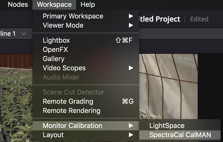 4 Click on the Workspace menu in Resolve, select Monitor Calibration,