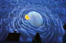 Image courtesy of The Drake Planetarium  Planetariums Praise and
