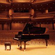 Following this lengthy crafting period, the completed EX concert grand piano receives a final series of rigorous quality inspections, before eventually taking centre stage in the world s most