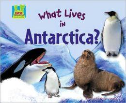 What Lives in Antarctica? Gaarger- Juntti, O. (1979). What Lives in Antarctica? Publisher: Abdo Group [ISBN: 978-1- 60453-169- 5] Available in- hard cover and paperback Grade Level: 3.