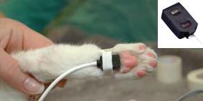 TSD270A Transflectance Transducer The Transflectance Sensor, the smallest probe, is ideally suited for continuous monitoring from the paw, tail, or other vascularized part of the animal.
