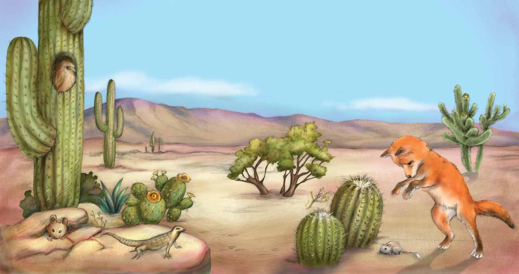 The desert environment is a place where few plants can grow because of the small amount of rainfall.