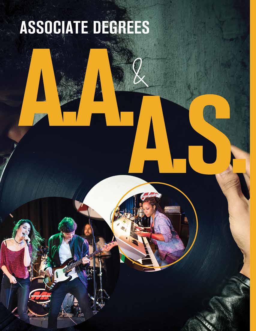 ASSOCIATE OF ARTS OVERVIEW 6 QTRS IN PERFORMANCE STUDIES* MI s Associate of Arts Degree in Performance offers students extensive vocational training in Bass, Drum, Guitar, Keyboard Technology or