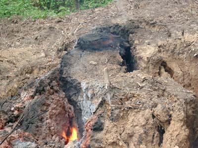 Fire of peat Forest