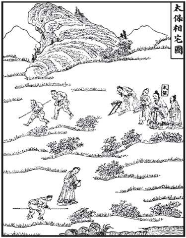 Confucianism is concerned about human social behavior such as gratitude and gentleness. While Daoism instructs people about the way to live with nature in solitude and simplicity.