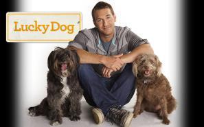 Lucky Dog follows animal trainer Brandon McMillan s determination to rescue hard-to-love, out-of control,