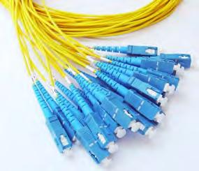 Multi-fiber distribution cable assemblies are traditionally used in backbone, premise distribution, and interconnect applications which require multiple fibers to be routed together from