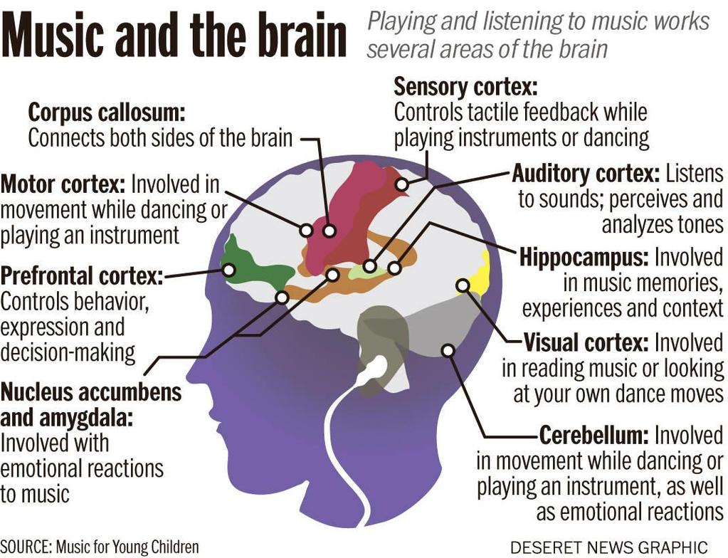 In particular, playing music causes an increase in size of the Corpus Collosum, the bridge between the right and left hemispheres of the brain.