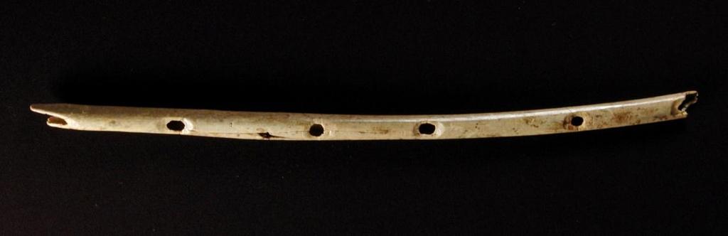 Another comes from the cave in SW Germany where the Venus of Hohle Fels was discovered. Flutes of reeds and other vegetable materials no doubt predated the bone flutes but left no artifacts.