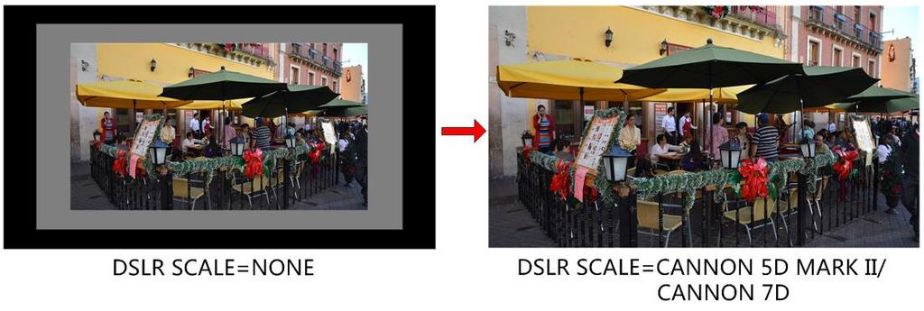 The valid area which will fill the screen is controlled by control DSLR SCALE item selection.