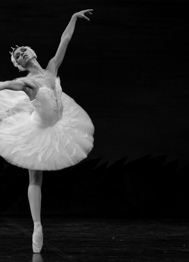 The timeless ballet creation of the Swan Lake is still one of the most popular creations of classical ballet, connecting the older and younger generations with the magic on stage.