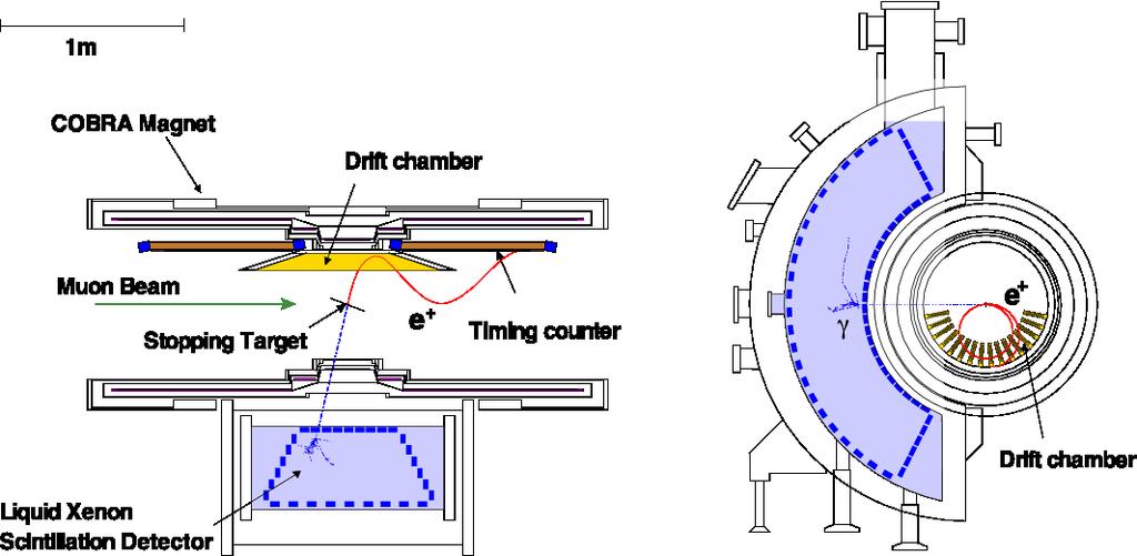 Figure. Schematic view of the MEG detector: side and front views. Figure 2. Picture of the current Timing Counter.