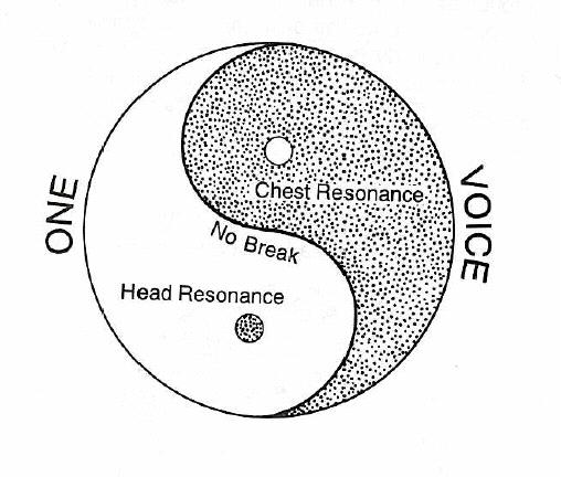 Mix yin/yang to achieve consistency Higher notes shift towards more head resonance, but maintain chest resonance anchor Lower notes shift toward more throat