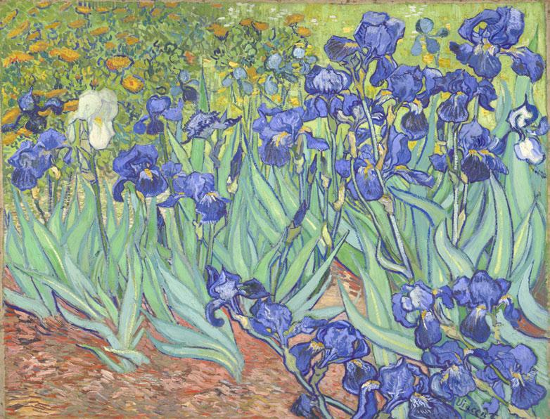 Controlled Vocabularies in Context 5 Fig. 1. Oil paintings such as this one are collected by art museums. Vincent van Gogh (Dutch, 1853 1890); Irises; 1889; oil on canvas; 71.