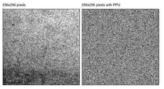 LCD Noise Variation in pixel responses to the same driving level Higher quality panels have greater uniformity and less noise Noise No P-P correction P-P correction Std.