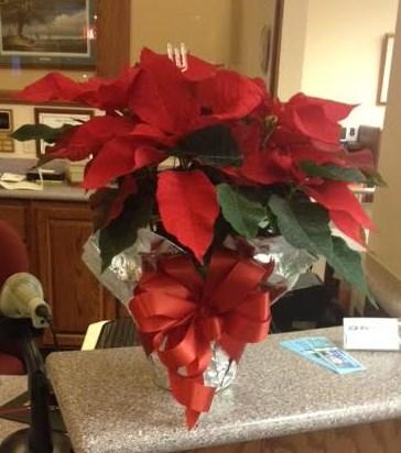 Volume 6, Issue 1 IN APPRECIATION Donations John & Nora Weyl of Burlington Anonymous Donor Thanks to Jan Greig for the lovely poinsettia displayed on the main circulation desk.