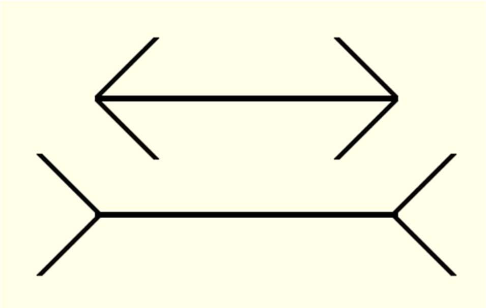 Muller Lyer Illusion Gestalt principle: