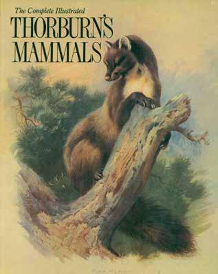 36 Thorburn, Archibald: THE COMPLETE ILLUSTRATED THORBURN S MAMMALS. With text and illustrations by Archibald Thorburn, Fellow of the Zoological Society. Med. 4to; pp.