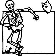 What do skeleton s order