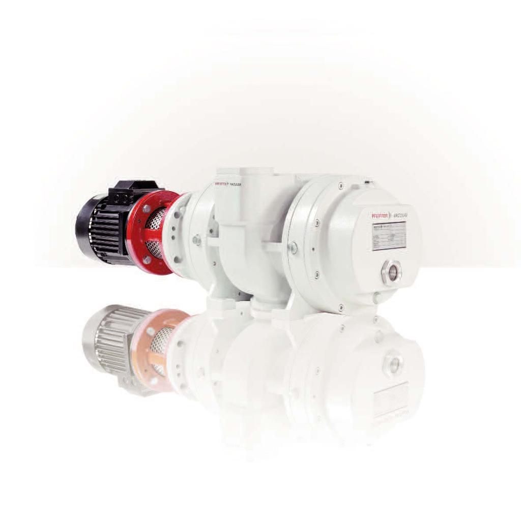 Advantages at a glance Complete line of Roots pumps offers optimum flexibility and maximium process suitability Broad range of pumping speeds: 250 to 25,000 m 3 /h Rugged, compact design Fast