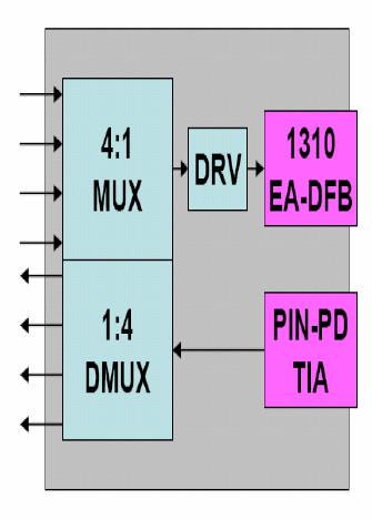 40G serial NRZ modulation The future When this driver is affordable, this option becomes attractive Single wavelength near 1310 nm SMF: 10 km OM1-3: < 20 m without EDC. MMF badly compromises PIN.