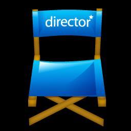 DIRECTOR A person who supervises the actors, camera crew, and the other staff for a movie, play, TV program, etc.