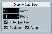 Display quantize The display quantize settings. This is where you give the program basic information about how to interpret your playing.
