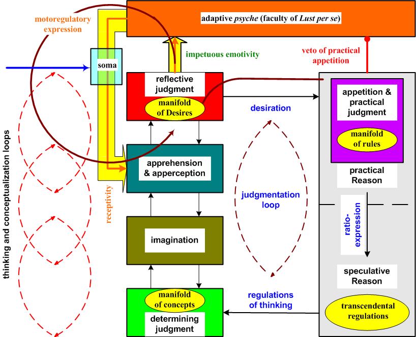 Figure 13: 2LAR structure of the motivational dynamic. Figure 14: Information flow pathways under a Quality determination of rule of commission in appetitive power.