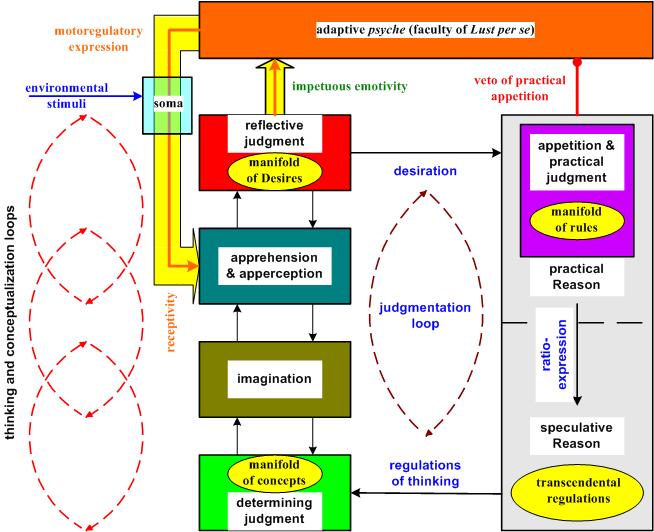 Figure 1: The logical organization and structure of the processes of nous.