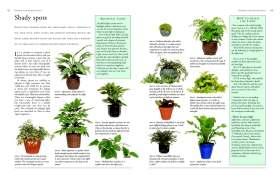 How to get the best out of your houseplants, with practical advice on watering, feeding and choosing the right container. Instructions on division, layering, cuttings and propagation techniques.
