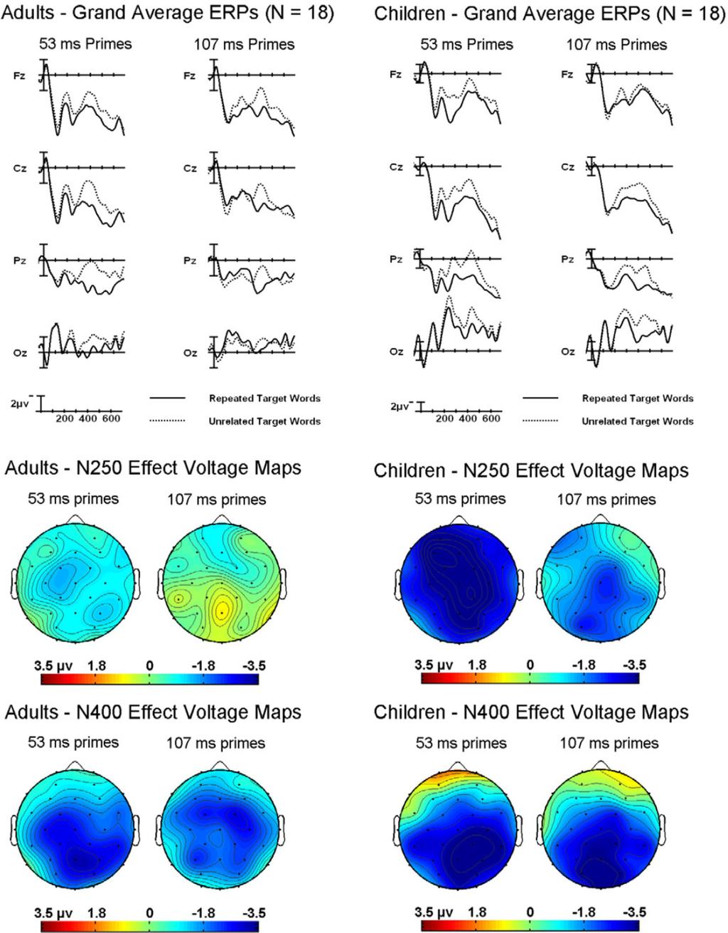 Eddy et al. Page 11 Figure 1. Grand average ERPs and voltage maps. Top left: ERP waveforms for adults. Bottom left: Voltage maps for adults. Top right: ERP waveforms for children.
