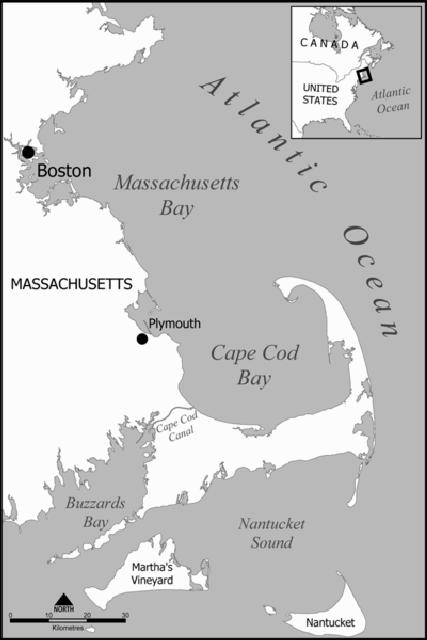 The small amount of fin whale acoustic data from 1961 and 1978 were generously provided by W.E. Watkins from the Woods Hole Oceanographic Institution (WHOI).