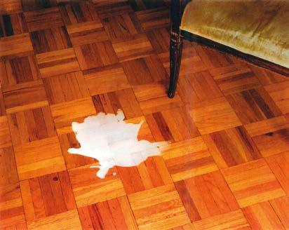 3 2016 DRAMA INSERT spilt milk