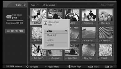 MEDIAHOST Set up the menu in Full-Sized Screen You can change the settings to display photos stored on a USB device, on a full-sized screen.