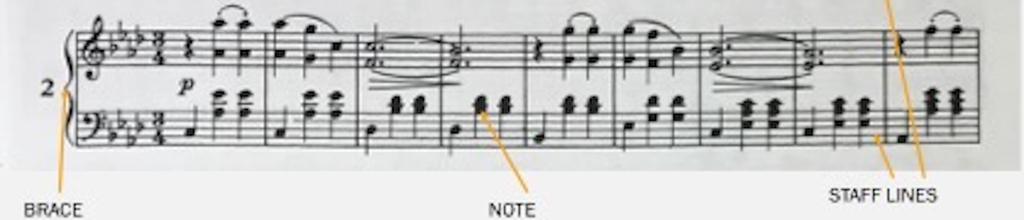 Consequently, the stafflines are used to identify the notes and musical objects.