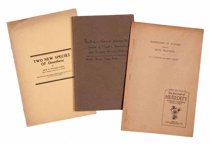 202 202 GENETICS. An archive of approximately 300 20th century pamphlets, primarily offprints, with a handful of pamphlets dating from the late 19th century, 1888-1955.