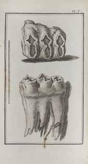 72 BUFFON, GEORGES, COMTE DE. 1707-1788. Les Époques de la Nature. Paris: De L Imprimerie Royale, 1780. Two volumes. 12mo (166 x 99). [4], 168, 171-246; [4], 264 pp. With 6 engraved plates.