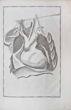117 118 117 CANT, ARENT. 1695-1723. Impetus primi anatomici ex lustratus cadaveribus nati... Leiden: for the author by Pieter vander Aa, 1721. Folio (504 x 372 mm). [6], 28 pp.