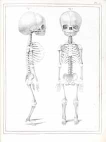 157 CLOQUET, JULES GERMAIN. 1790-1883. Manuel d anatomie descriptive du corps humain, représentée en planches lithographiées. Paris: Béchet, 1825-[36]. Three volumes. 4to (269 x 207 mm).