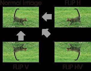 You can use this with the waveform monitor or vector. *1 Two signals must be synchronized. Flip Function The Flip function turns the reversed image to a normal view, horizontally or vertically.