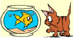 27. Which adverb best completes the sentence below? That is the shelf Lanie's mother keeps her favorite books. A. why B. where C. how D. when 28. Which adverb best completes the sentence below? The cat stared in surprise at the glass bowl a shiny fish was swimming in warm blue water.